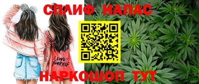 прущие крисы Краснодар