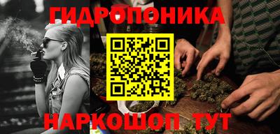 крисы Краснокаменск