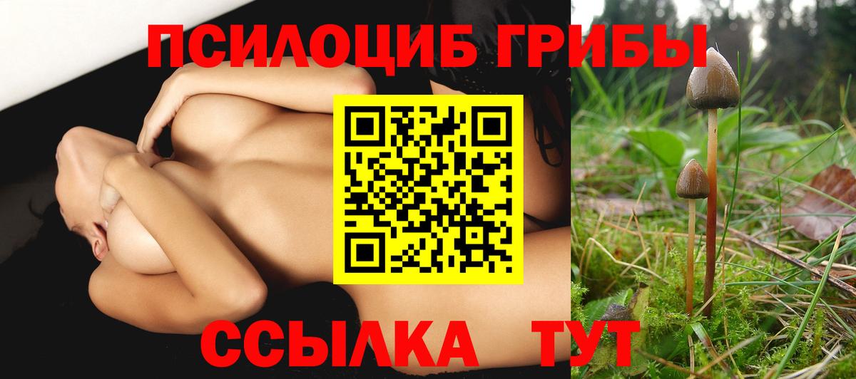 Псилоцибиновые грибы мухоморы Ишим