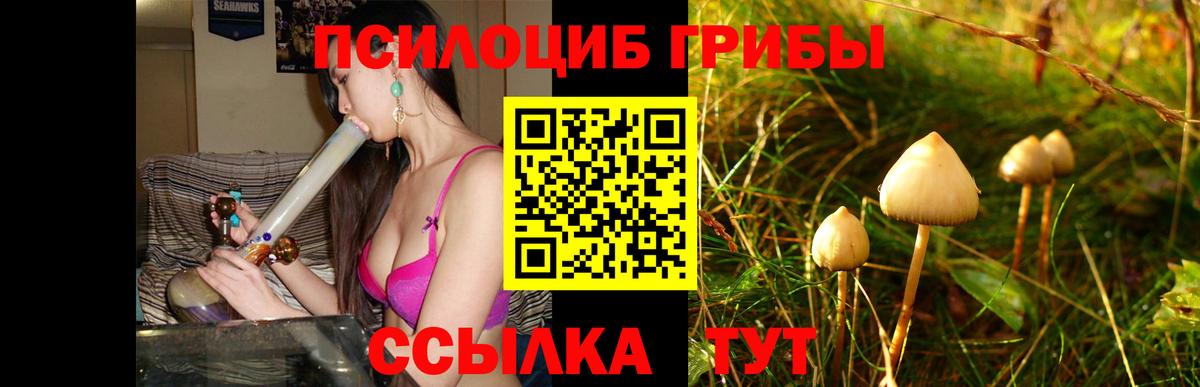 Ишим  Псилоцибиновые грибы прущие грибы  Вход с VPN 